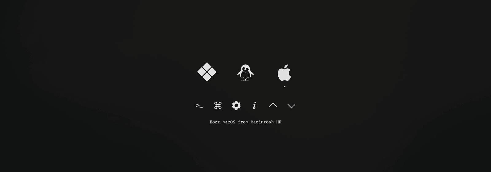 hackintosh dual boot and hackintosh multi boot