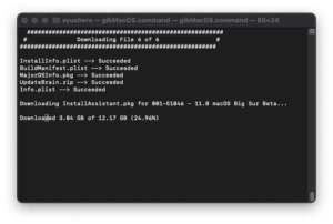 gibmacos-bigsur-download